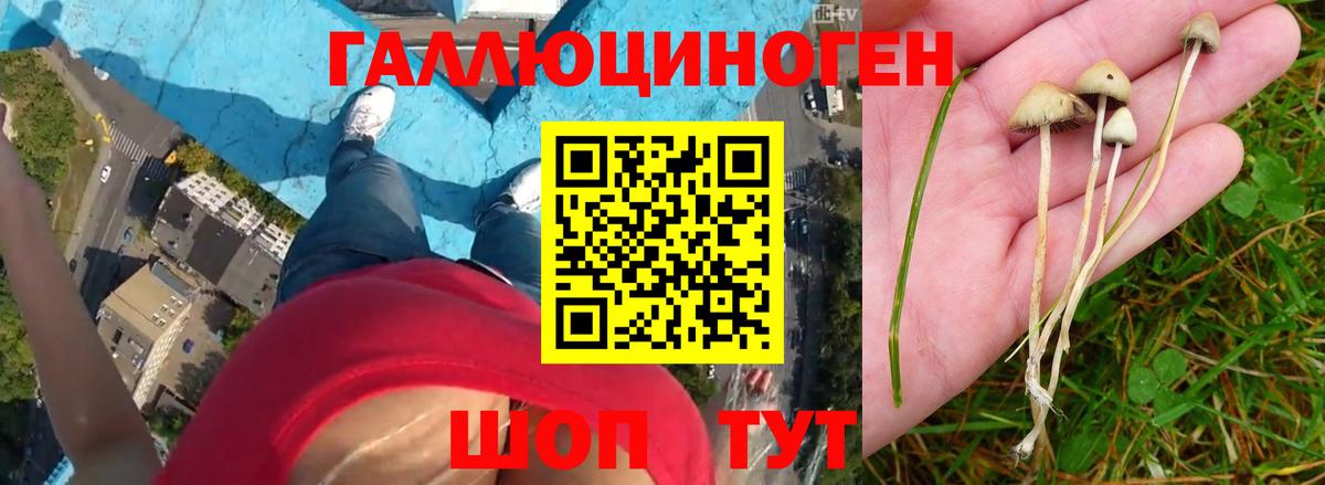 Галлюциногенные грибы Magic Shrooms  Галлюциногенные грибы мухоморы  купить   Вход с VPN  Кизляр 