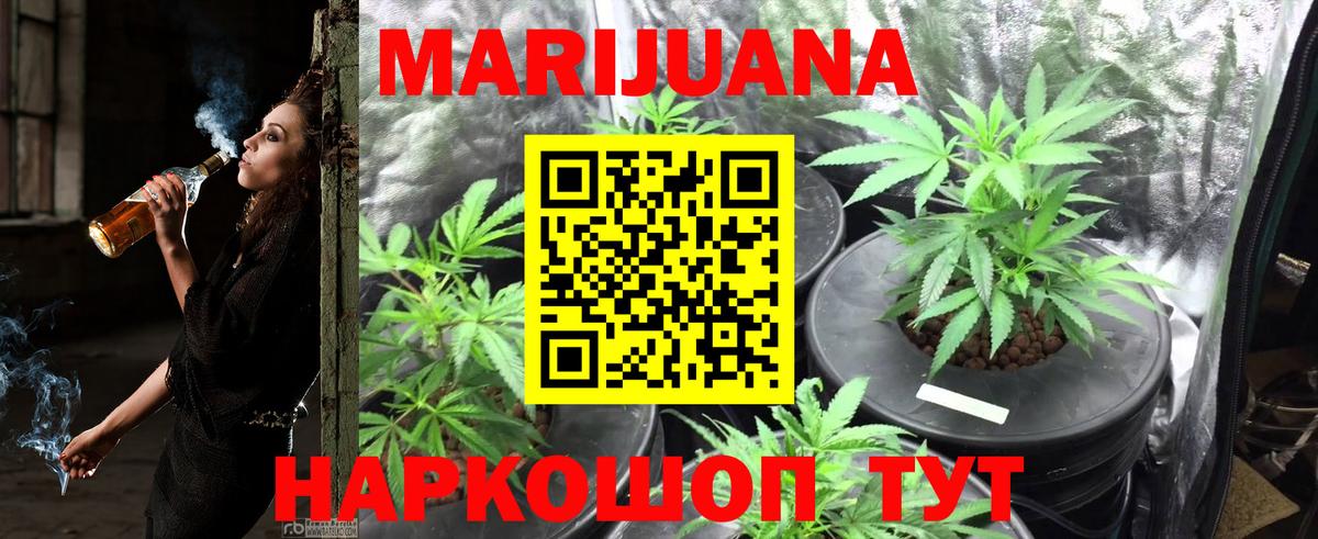МАРИХУАНА конопля  Шишки марихуана ГИДРОПОН  Конопля Bruce Banner  Кизляр  Вход с VPN 